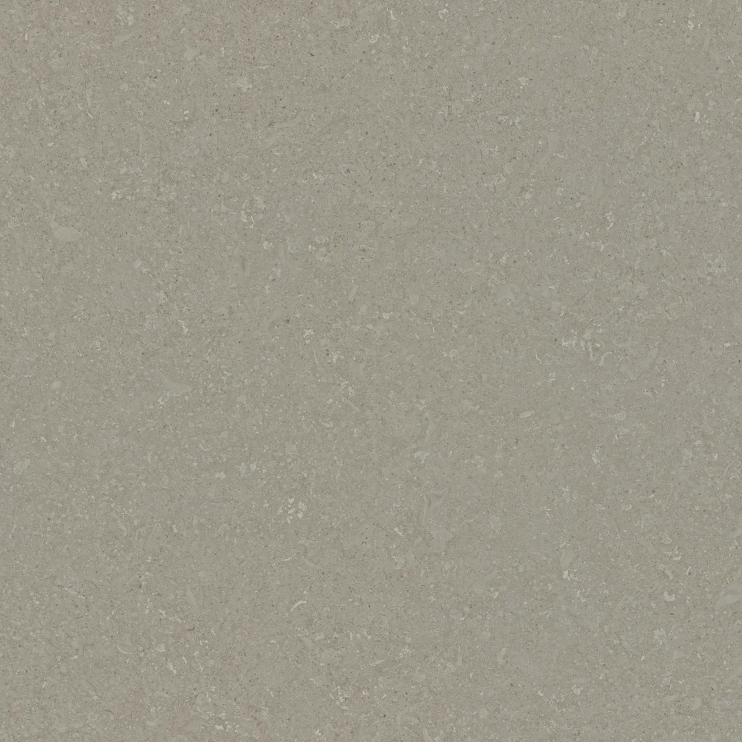 Portland Shellstone