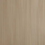 淺麻紅豆杉(直)