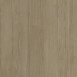 Sand Cherry