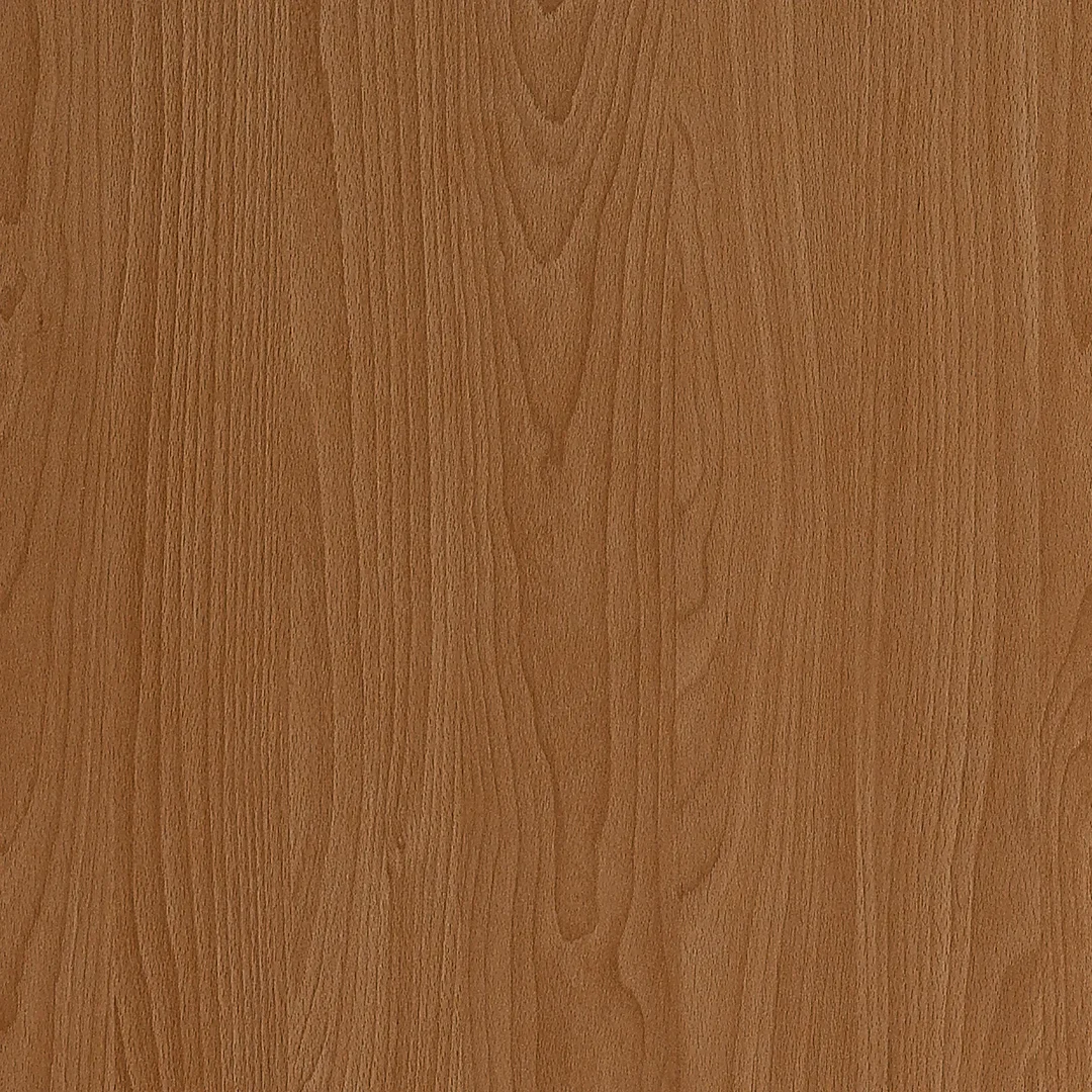 Copper Beech New