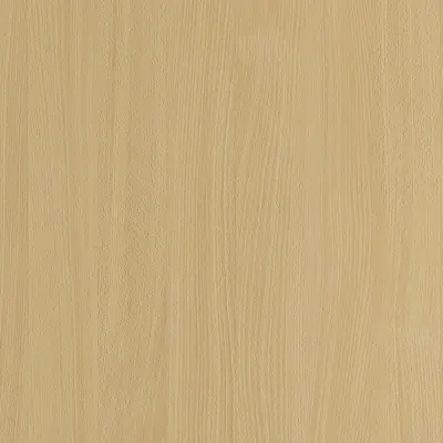 Natural Beech