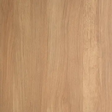 沙丘橡木(山)