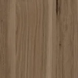深棕梅树
