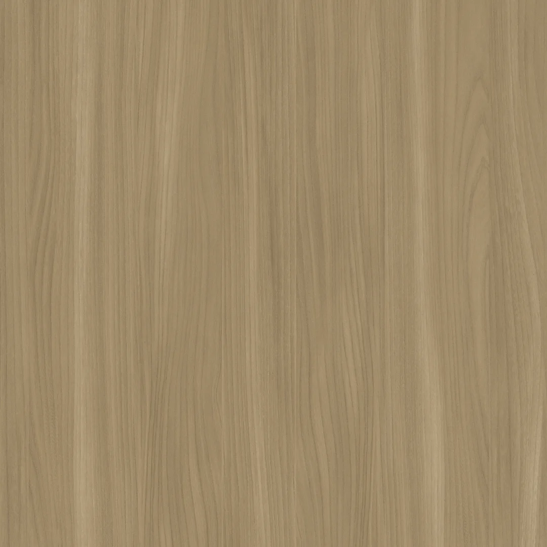 Beige Elm