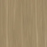 Beige Elm