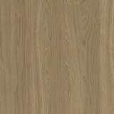 Millennium Oak