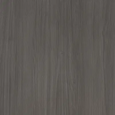 Acacia Ash