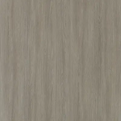 Tea Oak