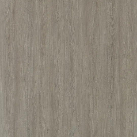 Tea Oak