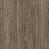 Mocha Elm
