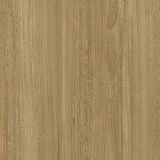 Honey Elm