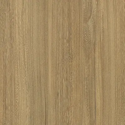 Honey Elm