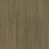 棕褐橡木(山)