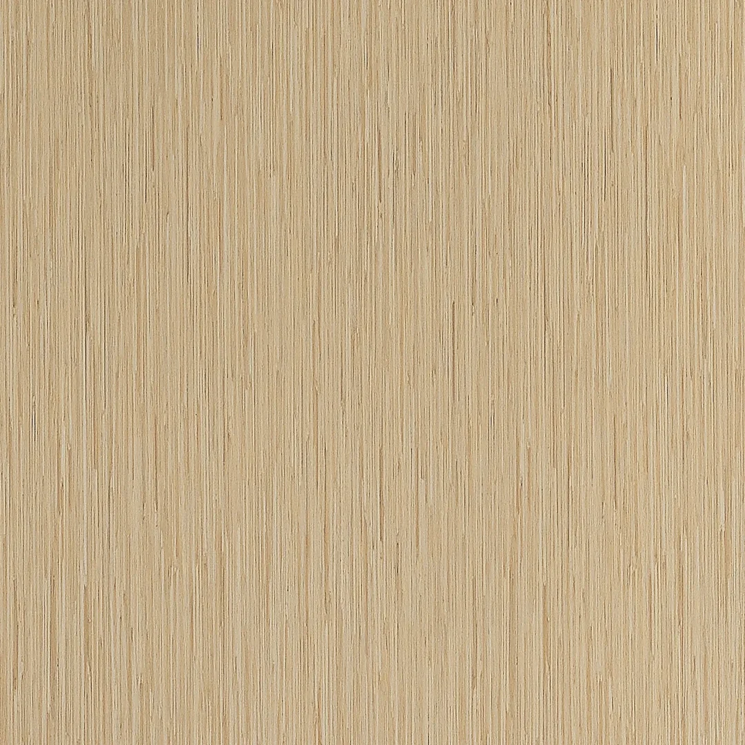 竹莢白(直)