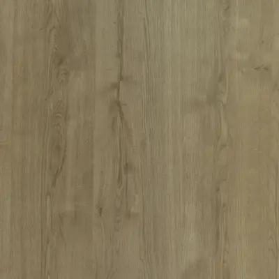 Planked Urban Oak