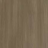 Camel Laricina