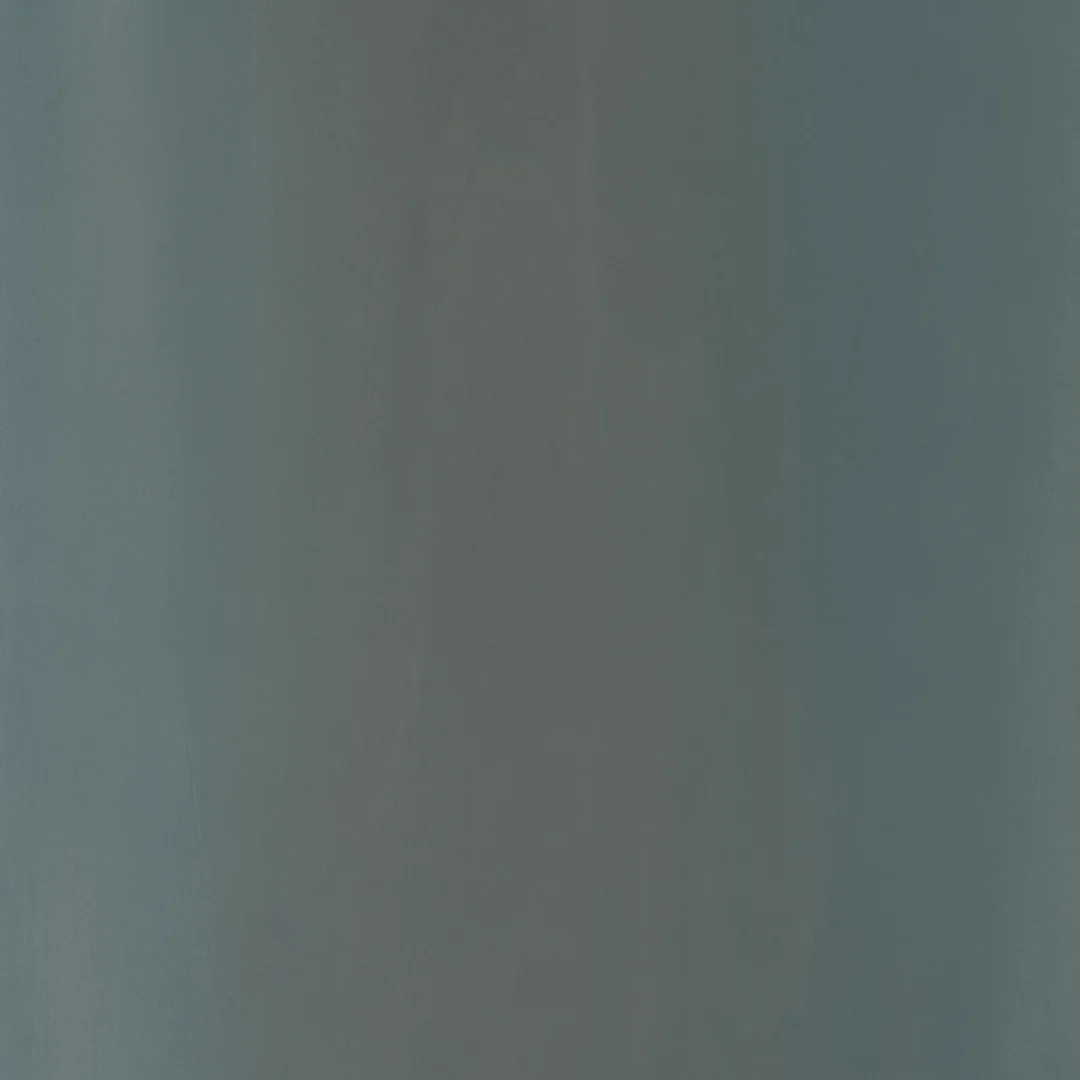 Tinted Veneer