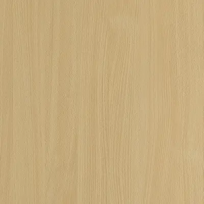 白山毛櫸(直)