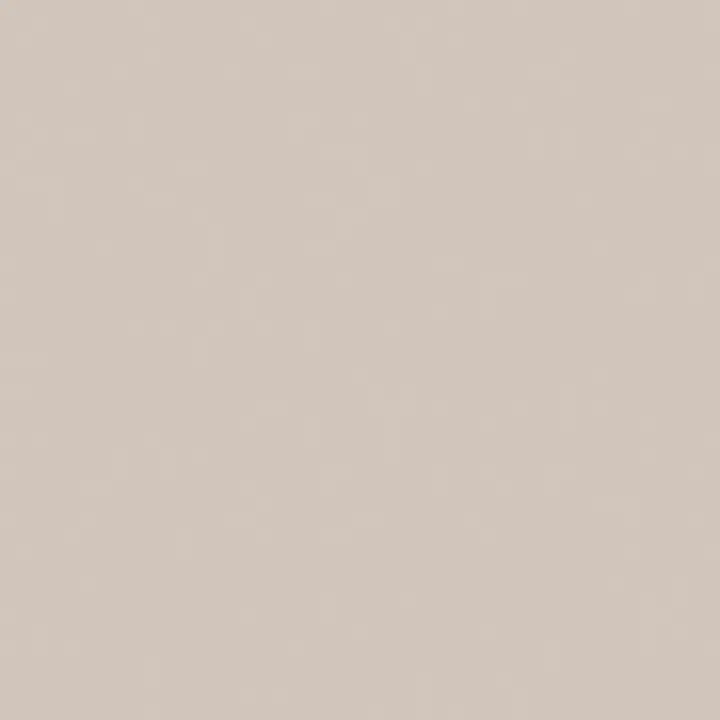 Oyster Gray
