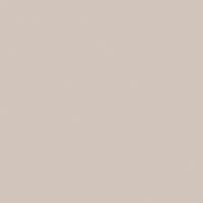 Oyster Gray