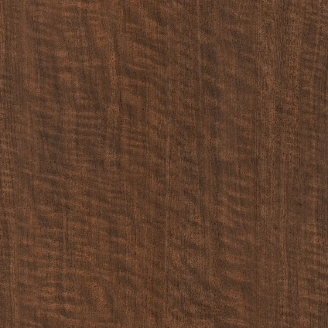 Noyer Noir