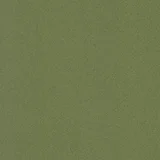 Green Felt