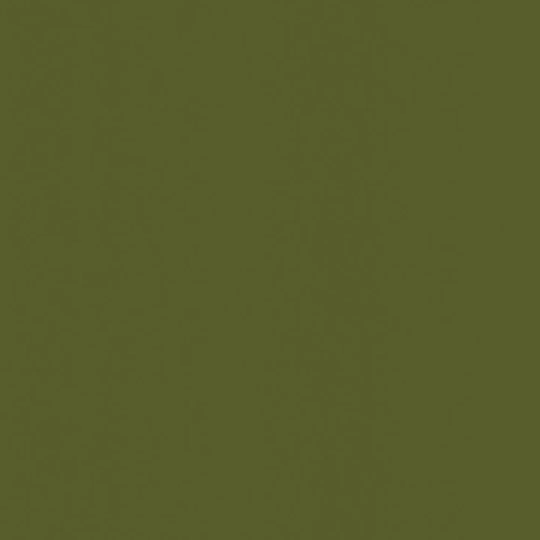 Algae