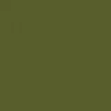 Algae