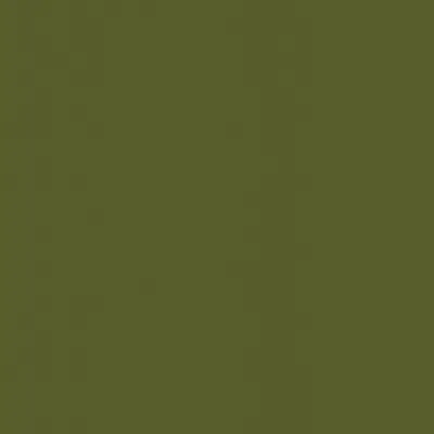 Algae