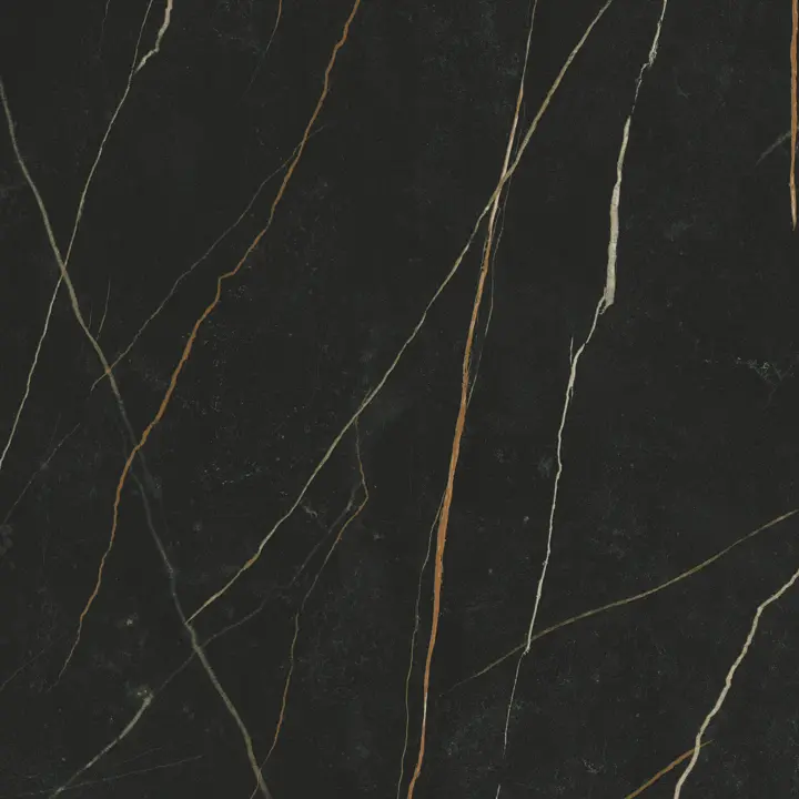 Sahara Noir