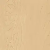 Hard Rock Maple