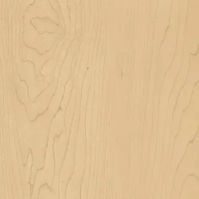 Hard Rock Maple