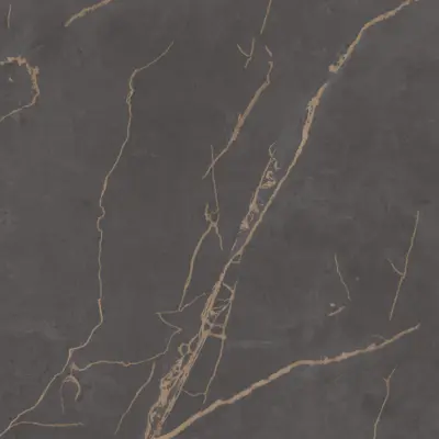 Brass Veined Black Marble