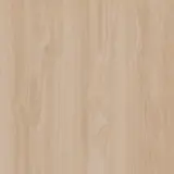 Natural Silk Oak