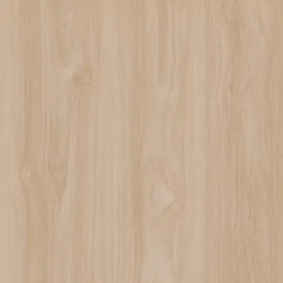 Natural Silk Oak