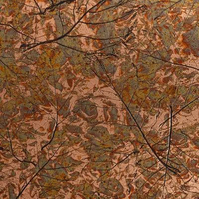 Copper Maple Leaves