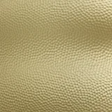 Dimpled Goldtone
