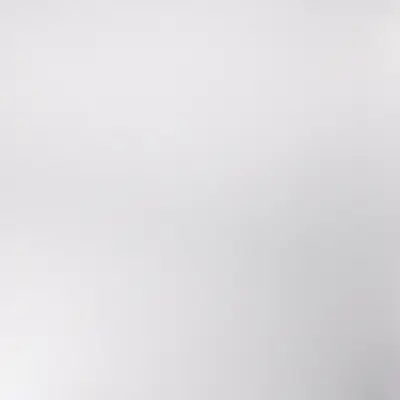 Silver Brush