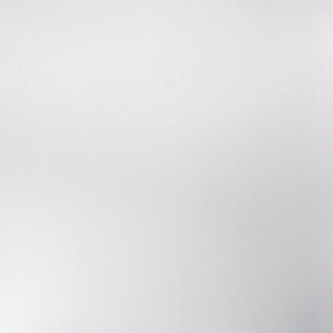 Silver Brush
