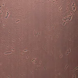 Moon Dark Copper