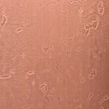 Moon Light Copper