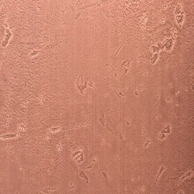 Moon Light Copper