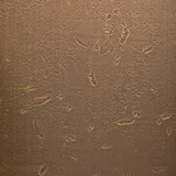 Moon Brass
