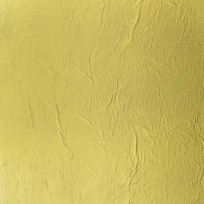 Goldtone Polished Mesh