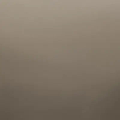 Satin Bronze