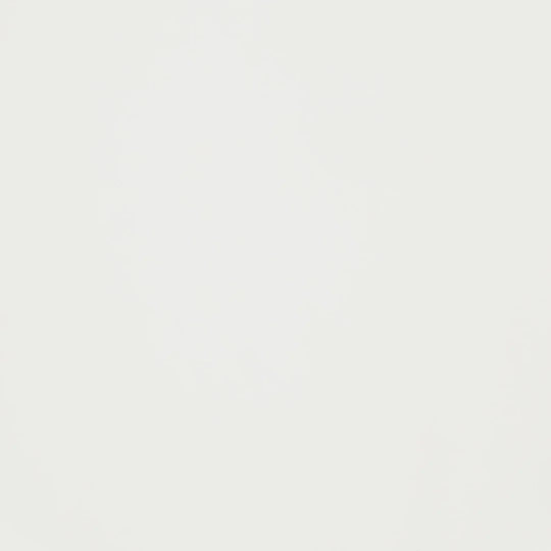 Projector Matte Whiteboard