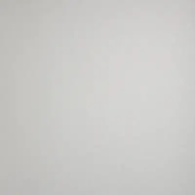 Brushed Aluminium