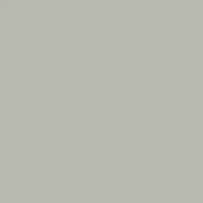 Silver Grey