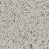 Spec Silver Grey