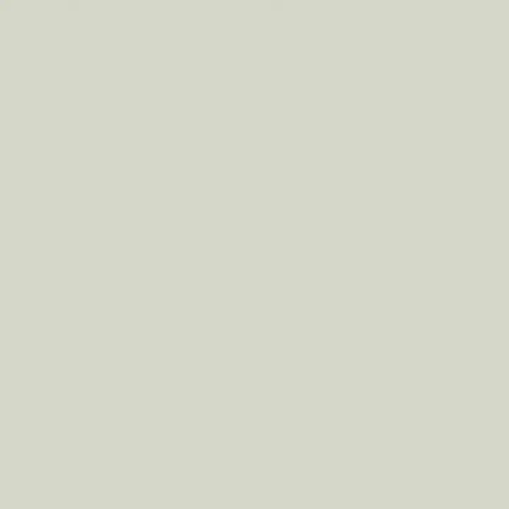 Pastel Grey
